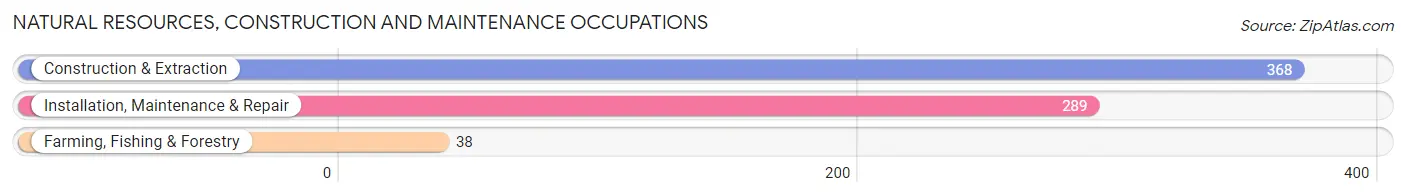 Natural Resources, Construction and Maintenance Occupations in Decatur County