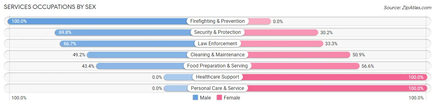 Services Occupations by Sex in Decatur County