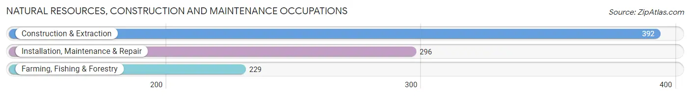 Natural Resources, Construction and Maintenance Occupations in DeKalb County