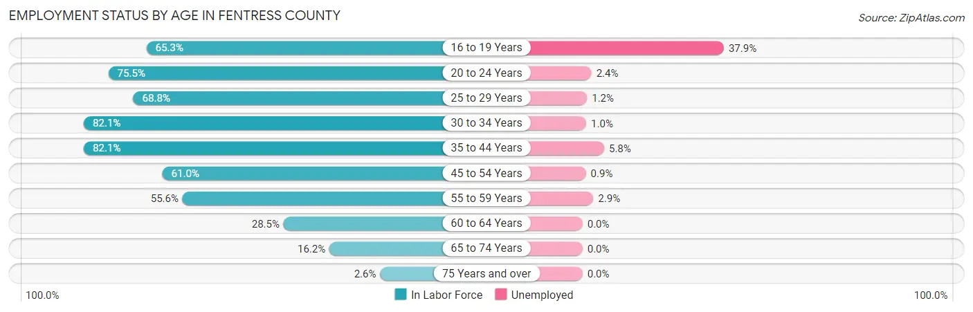 Employment Status by Age in Fentress County