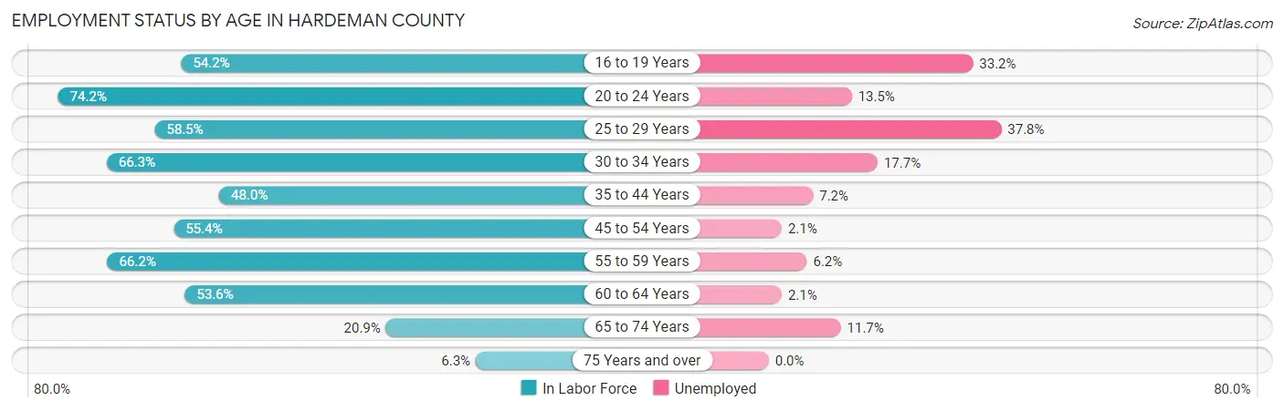 Employment Status by Age in Hardeman County