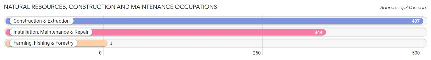 Natural Resources, Construction and Maintenance Occupations in Johnson County