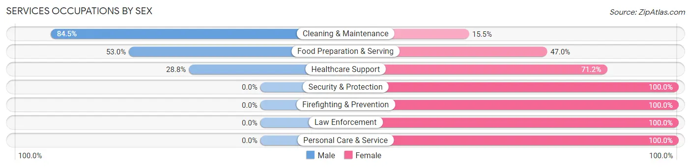 Services Occupations by Sex in Lewis County