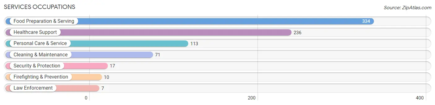 Services Occupations in Lewis County