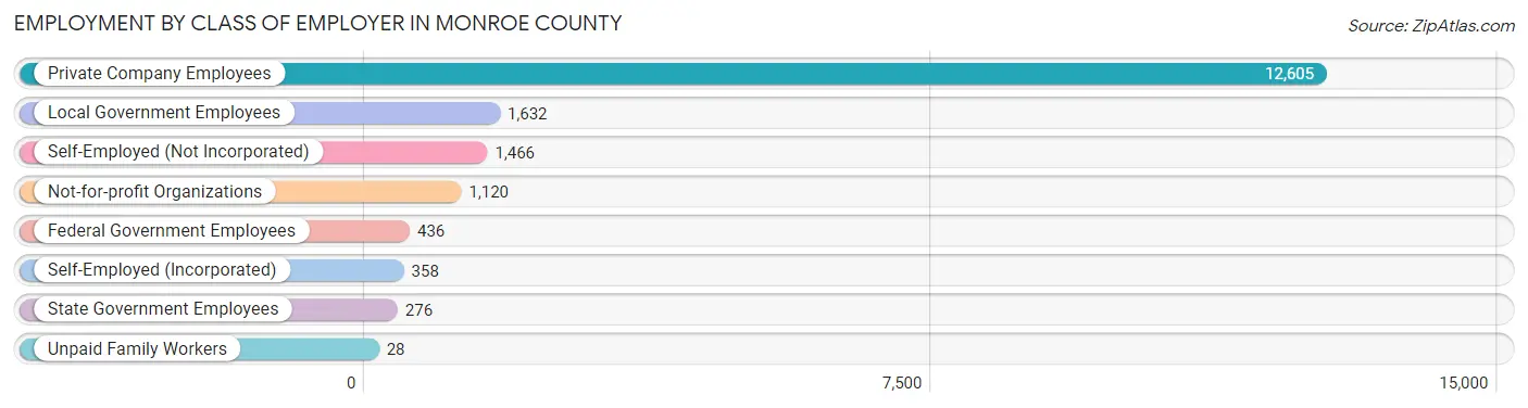 Employment by Class of Employer in Monroe County