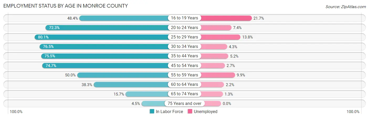 Employment Status by Age in Monroe County