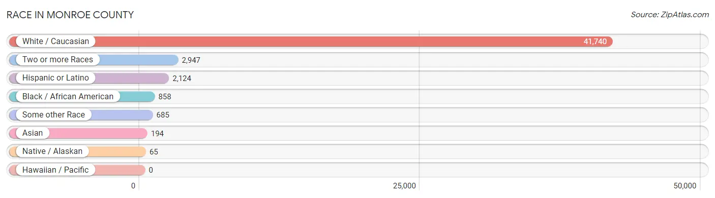 Race in Monroe County