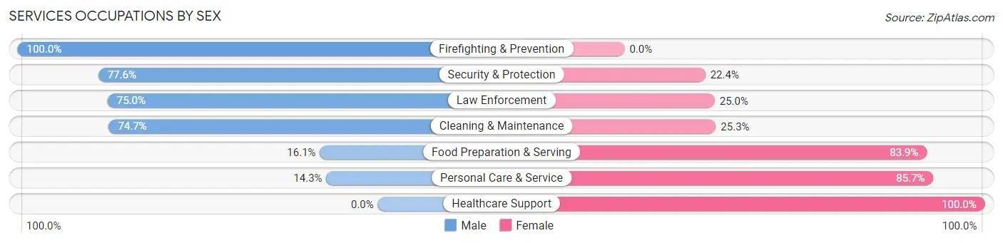 Services Occupations by Sex in Perry County