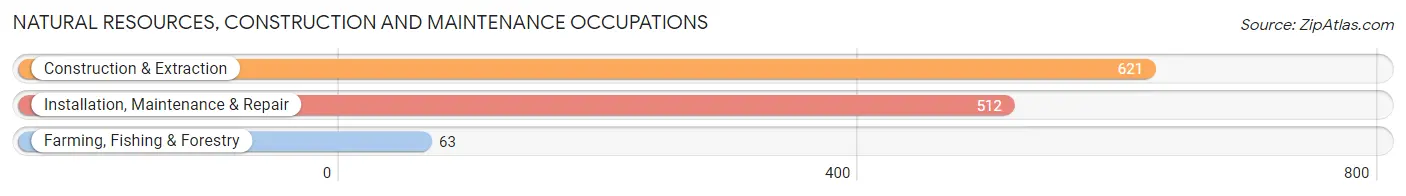 Natural Resources, Construction and Maintenance Occupations in Smith County