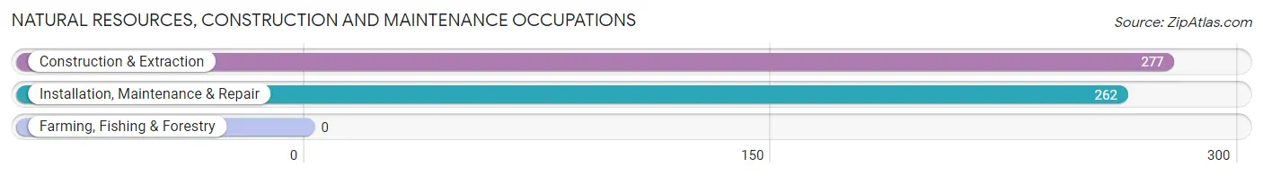 Natural Resources, Construction and Maintenance Occupations in Trousdale County