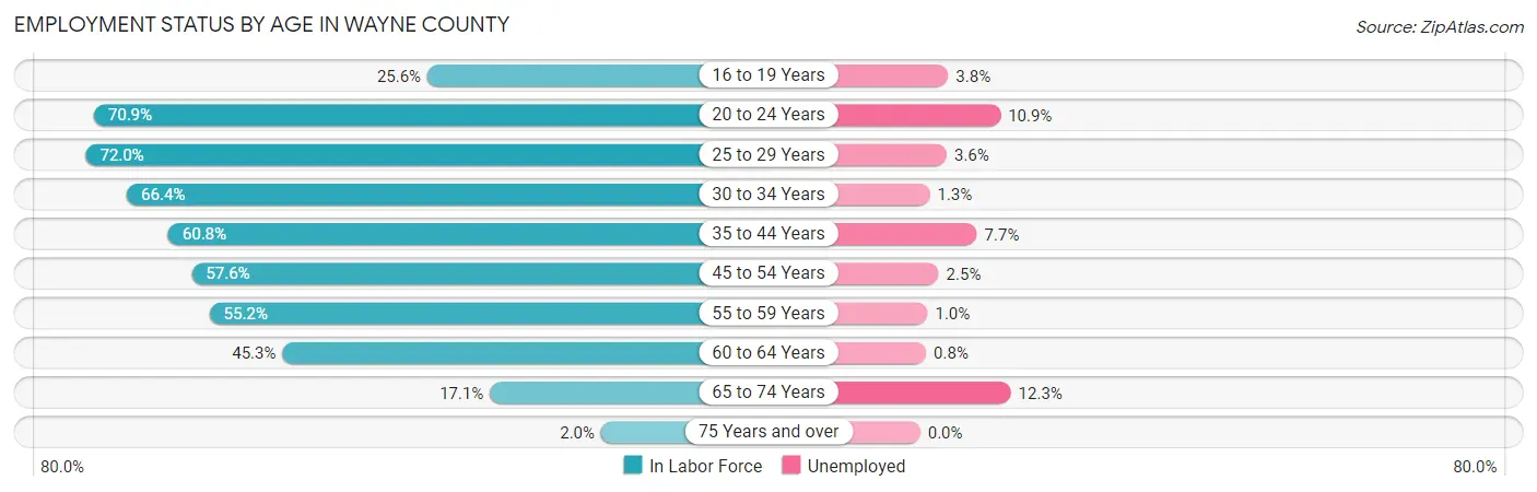Employment Status by Age in Wayne County