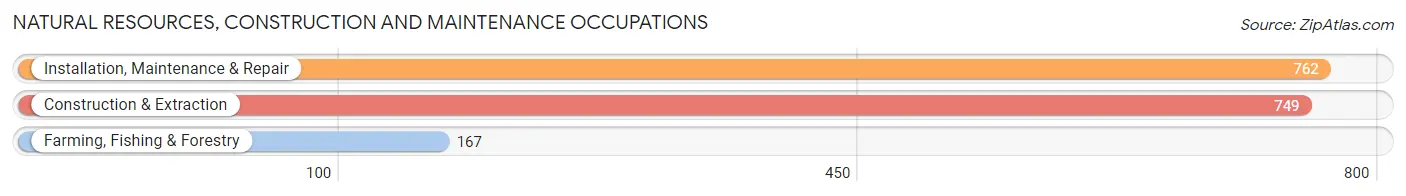 Natural Resources, Construction and Maintenance Occupations in Weakley County