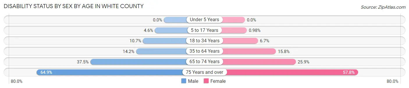 Disability Status by Sex by Age in White County
