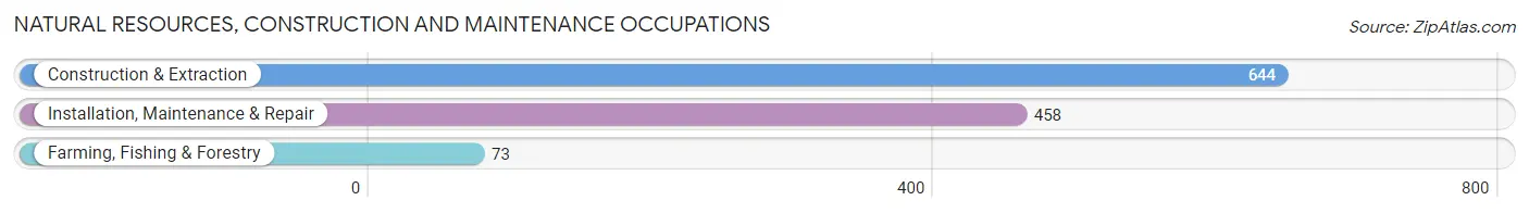 Natural Resources, Construction and Maintenance Occupations in White County