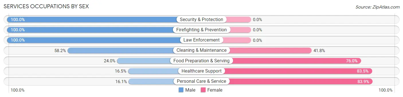 Services Occupations by Sex in White County