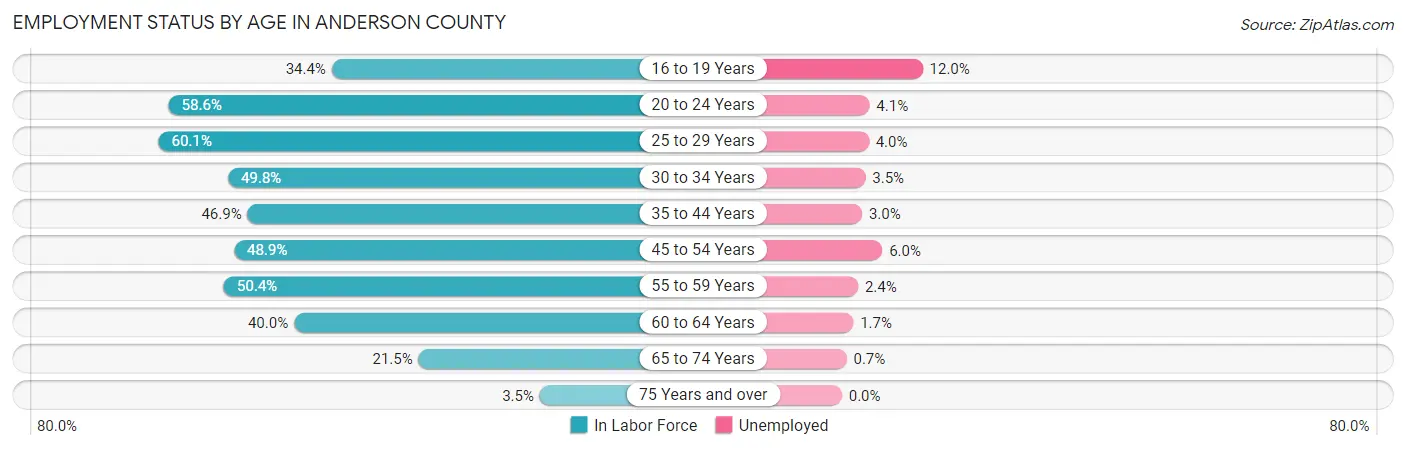 Employment Status by Age in Anderson County
