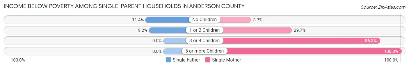 Income Below Poverty Among Single-Parent Households in Anderson County