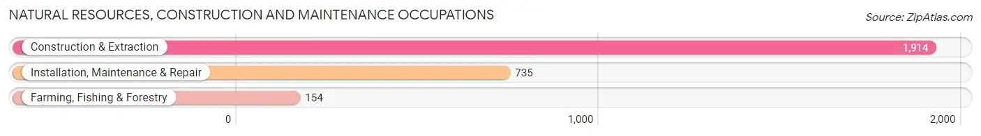 Natural Resources, Construction and Maintenance Occupations in Anderson County