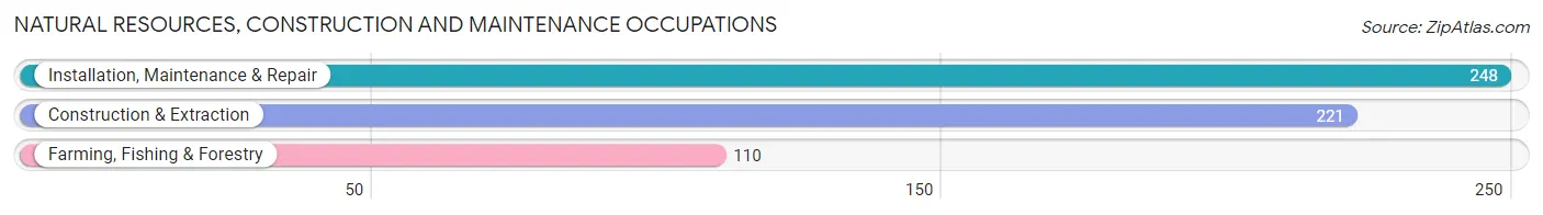 Natural Resources, Construction and Maintenance Occupations in Archer County