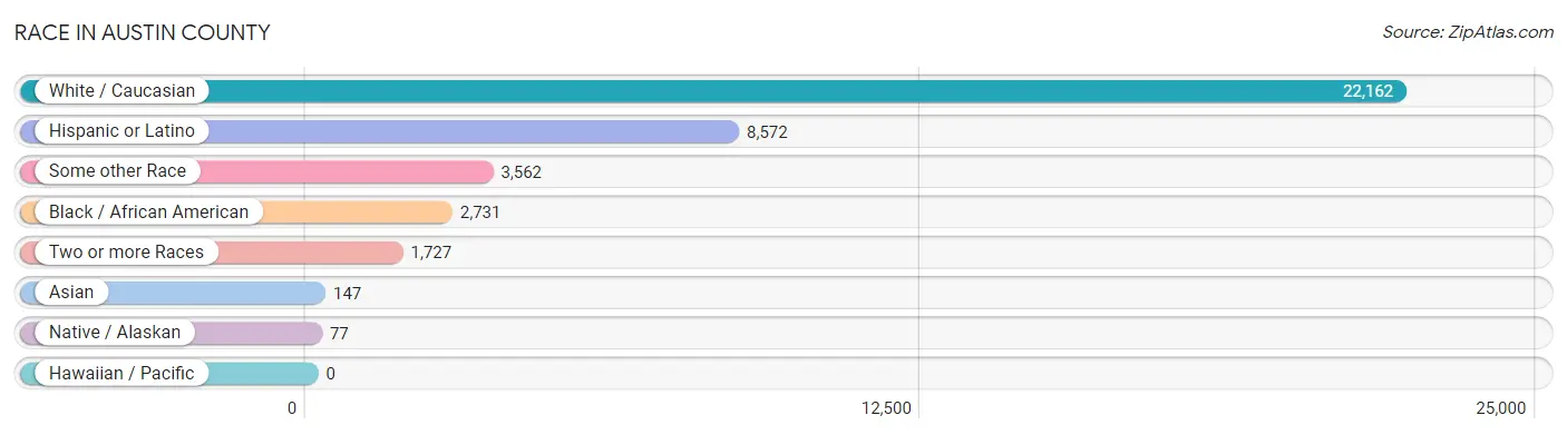 Race in Austin County