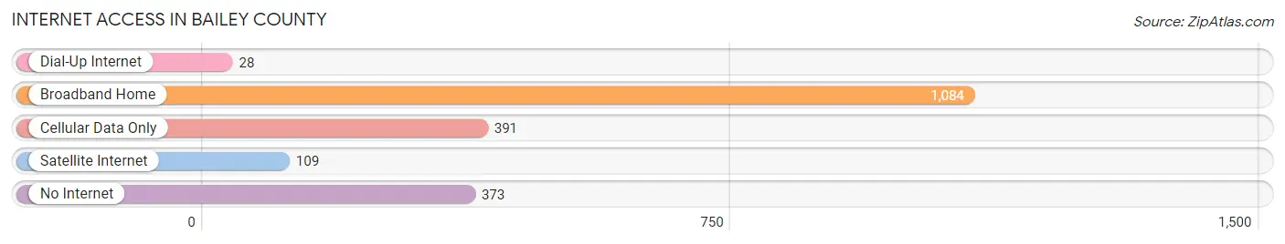 Internet Access in Bailey County