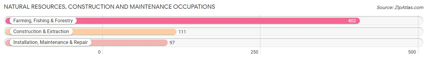 Natural Resources, Construction and Maintenance Occupations in Bailey County