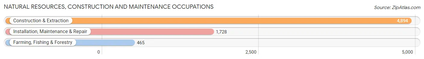 Natural Resources, Construction and Maintenance Occupations in Bastrop County