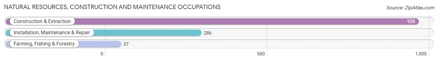 Natural Resources, Construction and Maintenance Occupations in Bee County