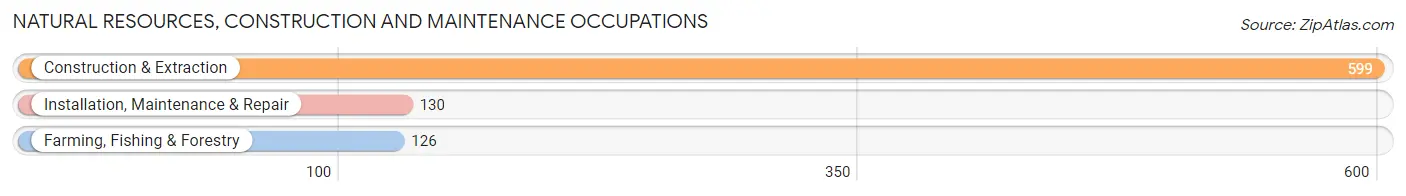 Natural Resources, Construction and Maintenance Occupations in Blanco County