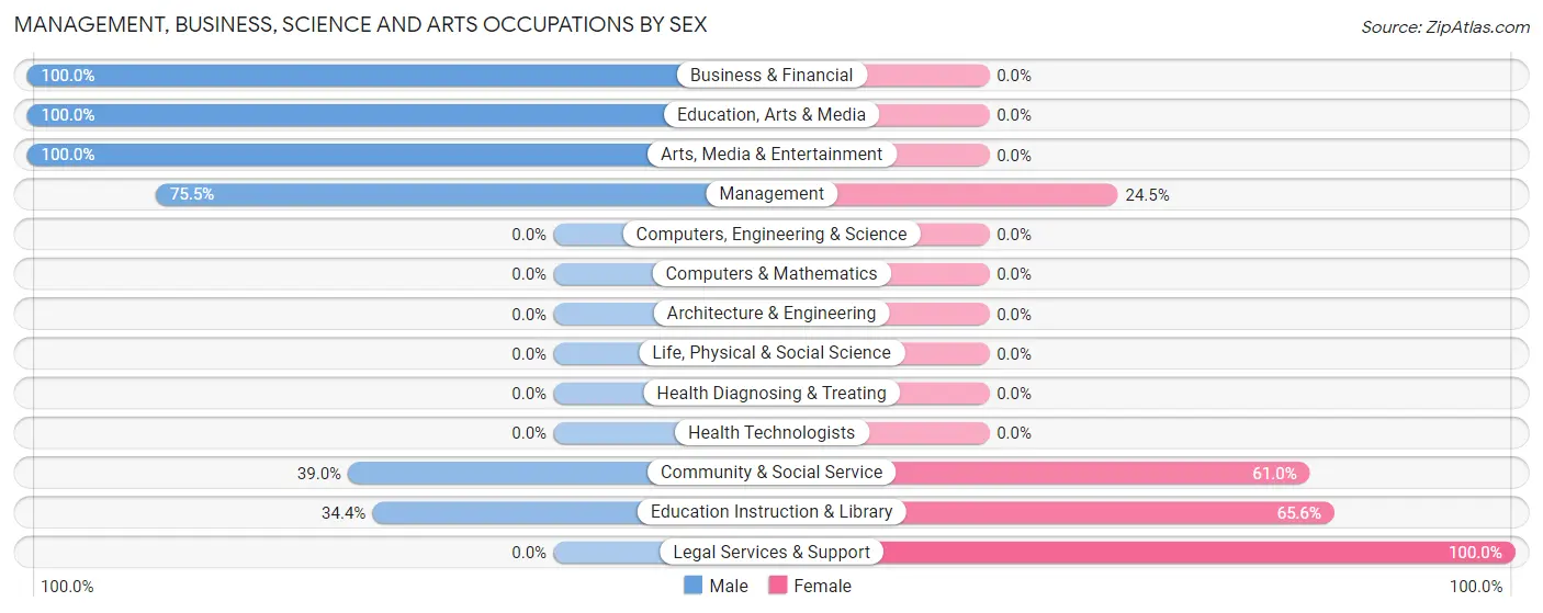 Management, Business, Science and Arts Occupations by Sex in Borden County