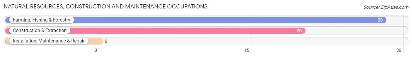 Natural Resources, Construction and Maintenance Occupations in Borden County