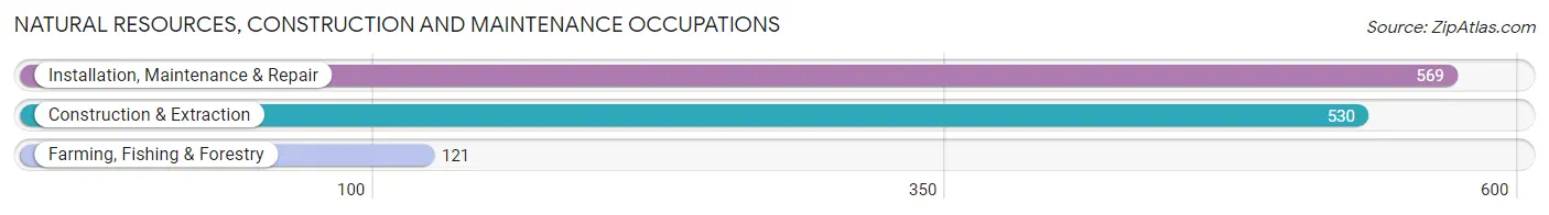 Natural Resources, Construction and Maintenance Occupations in Bosque County