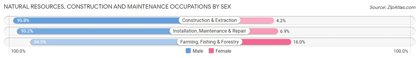 Natural Resources, Construction and Maintenance Occupations by Sex in Bowie County