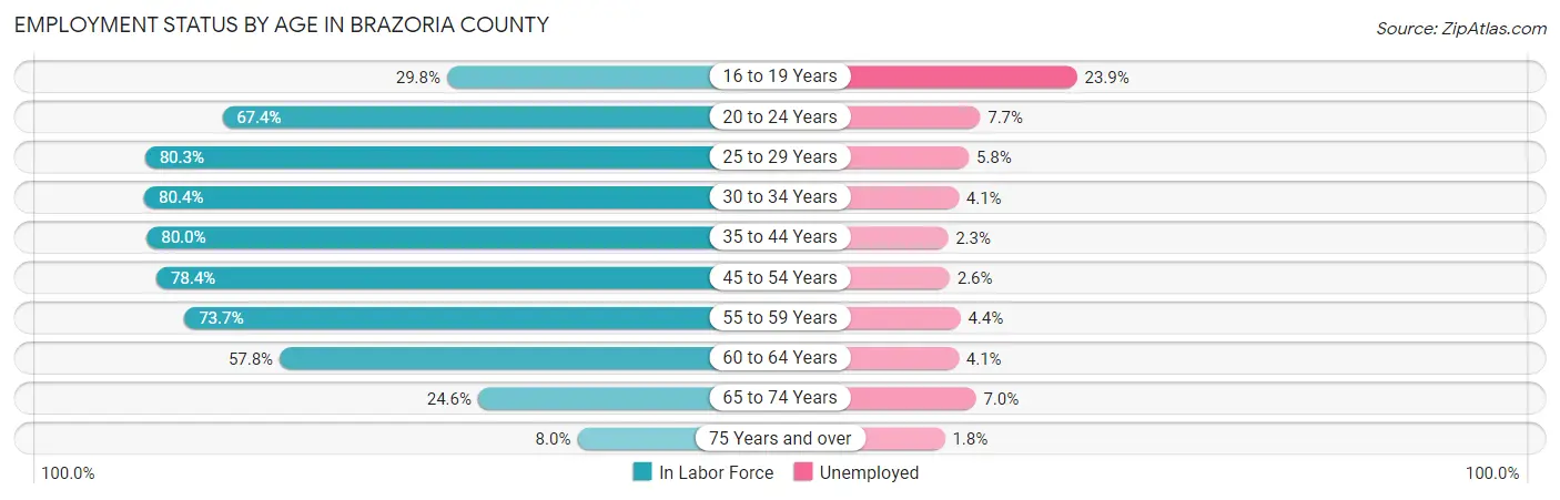 Employment Status by Age in Brazoria County