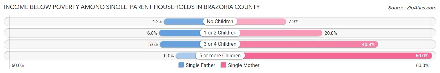 Income Below Poverty Among Single-Parent Households in Brazoria County