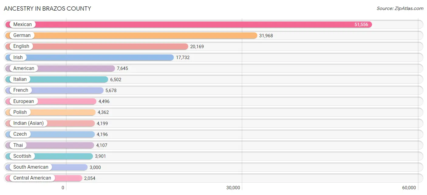 Ancestry in Brazos County