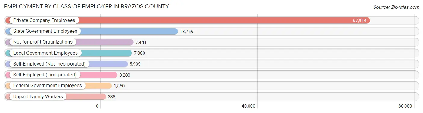 Employment by Class of Employer in Brazos County