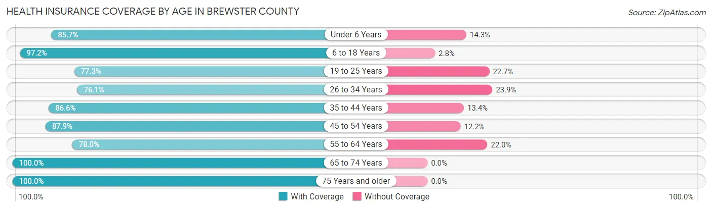 Health Insurance Coverage by Age in Brewster County