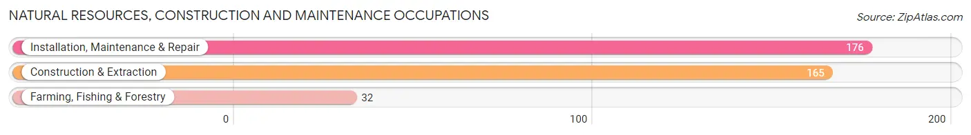 Natural Resources, Construction and Maintenance Occupations in Brewster County