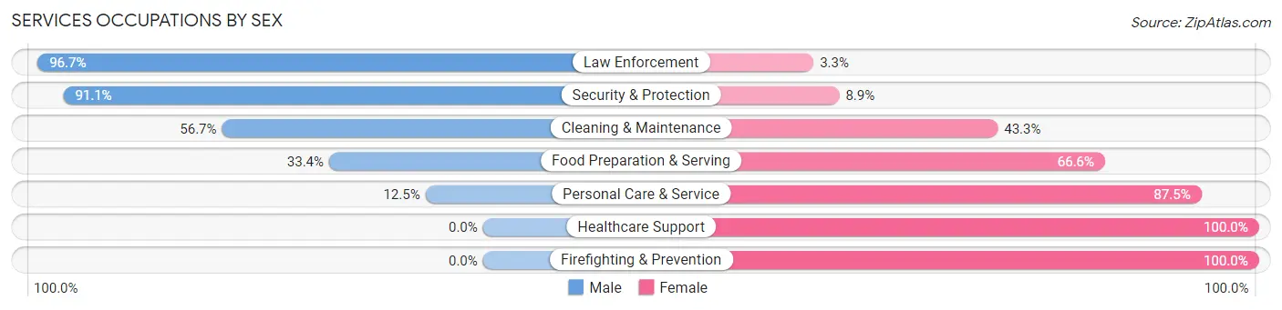 Services Occupations by Sex in Brewster County