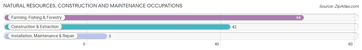 Natural Resources, Construction and Maintenance Occupations in Briscoe County