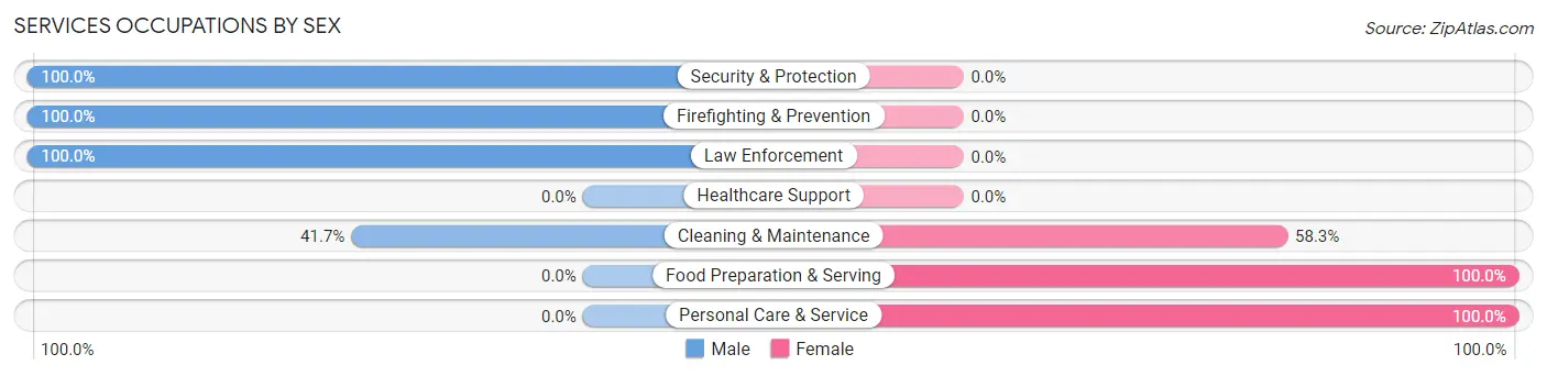 Services Occupations by Sex in Briscoe County