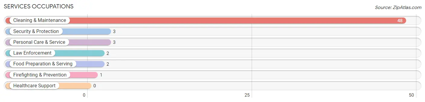 Services Occupations in Briscoe County