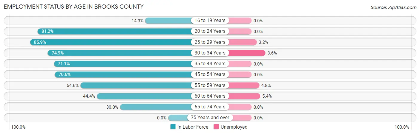 Employment Status by Age in Brooks County