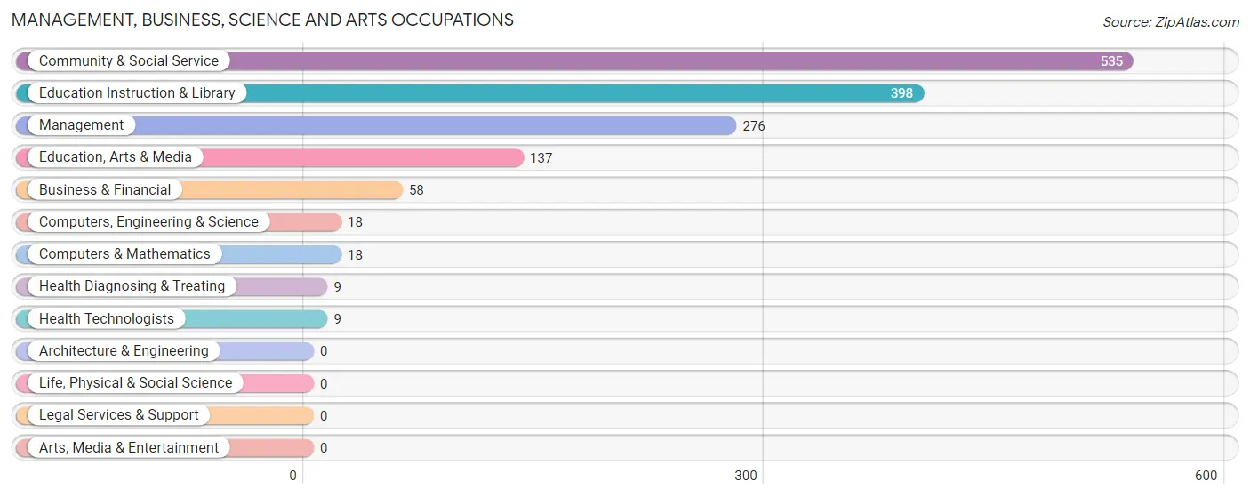 Management, Business, Science and Arts Occupations in Brooks County