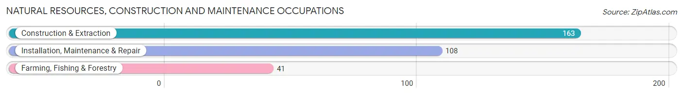 Natural Resources, Construction and Maintenance Occupations in Brooks County