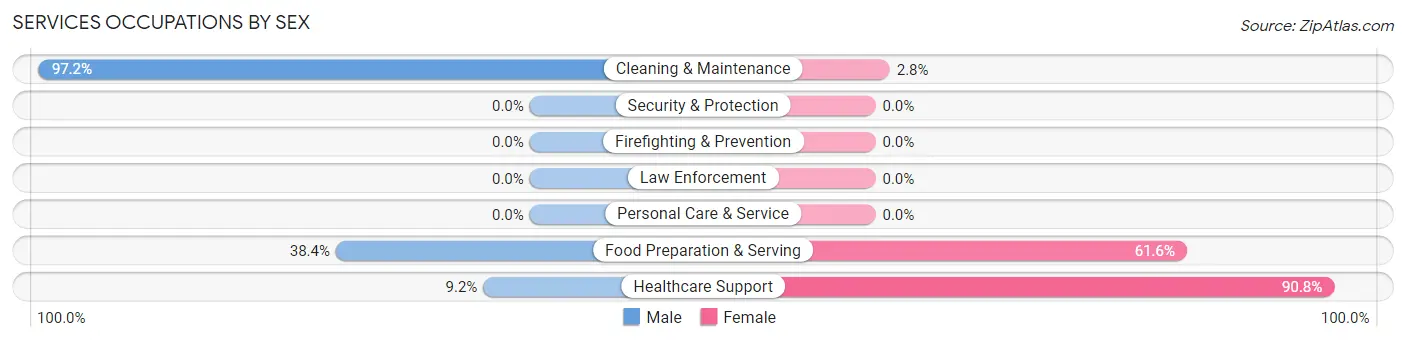 Services Occupations by Sex in Brooks County