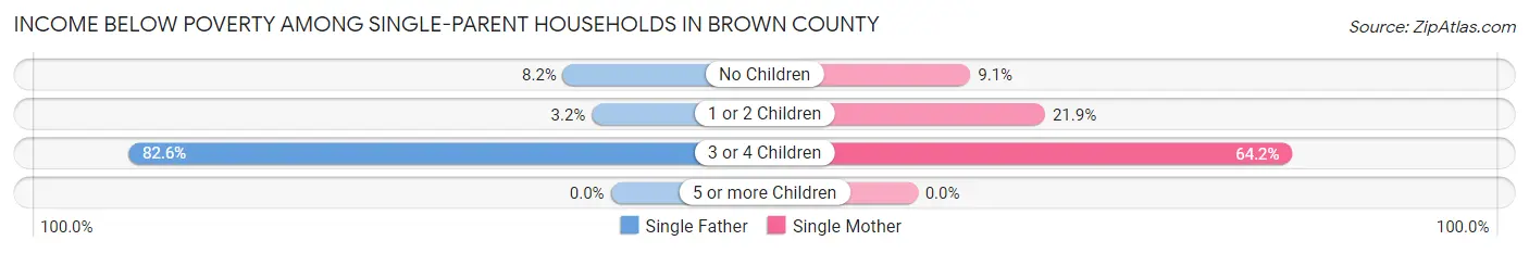 Income Below Poverty Among Single-Parent Households in Brown County