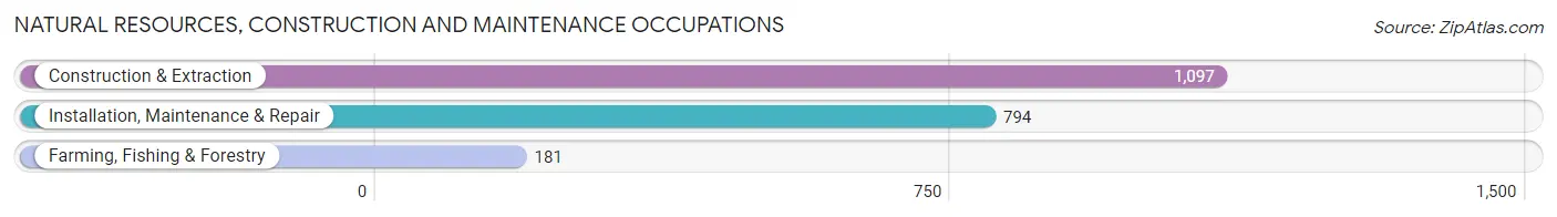 Natural Resources, Construction and Maintenance Occupations in Brown County