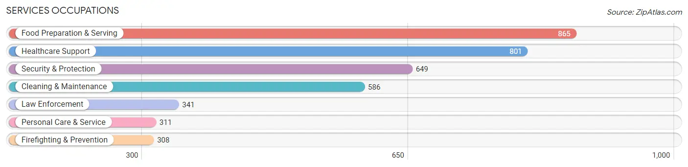 Services Occupations in Brown County